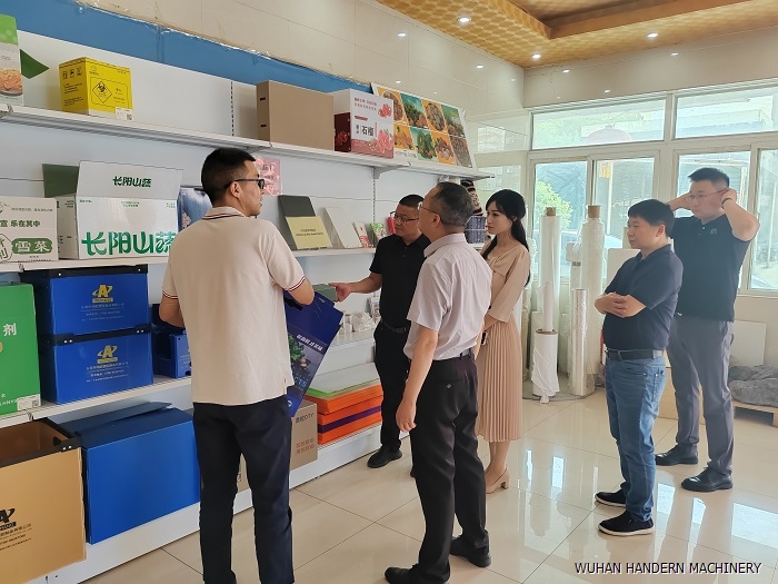 Phosphogypsum Honeycomb Panels: Technical Principles & Market Outlook